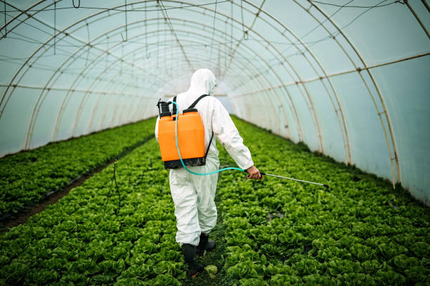 Best Pest Control Near Me  in Wallburg, NC