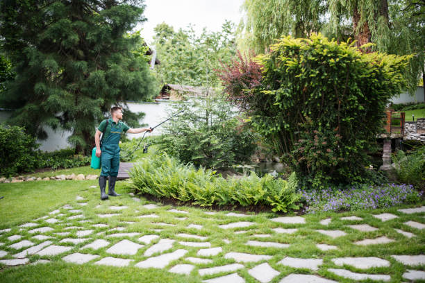 Best Pest Removal Services  in Wallburg, NC
