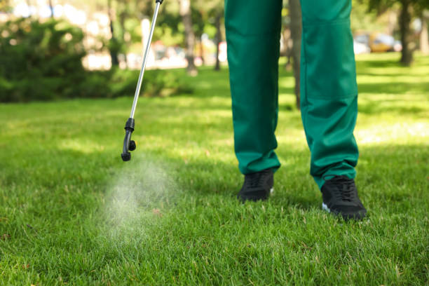 Best Mosquito Control Services  in Wallburg, NC