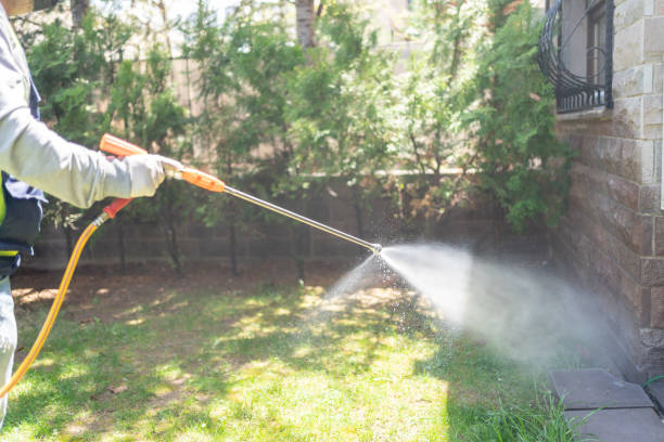 Best Pest Removal Services  in Wallburg, NC