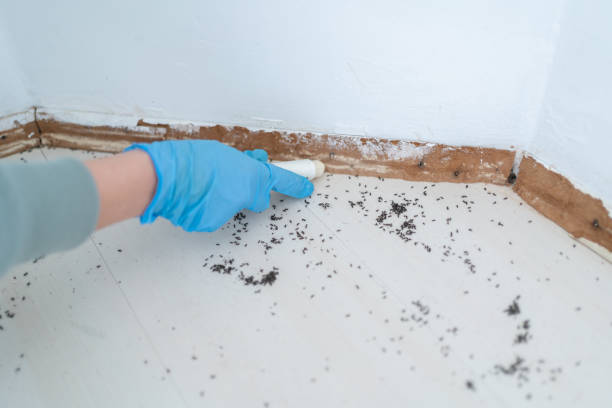 Best Exterminator Services  in Wallburg, NC