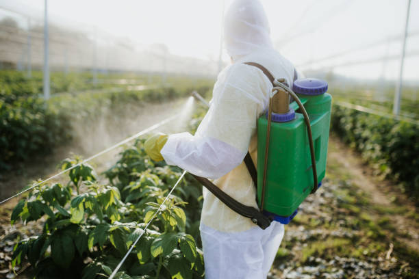 Best Emergency Pest Control  in Wallburg, NC